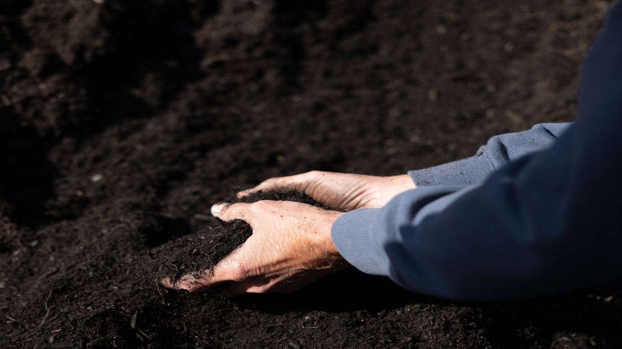 Composting Laws Know Your Rights And Responsibilities