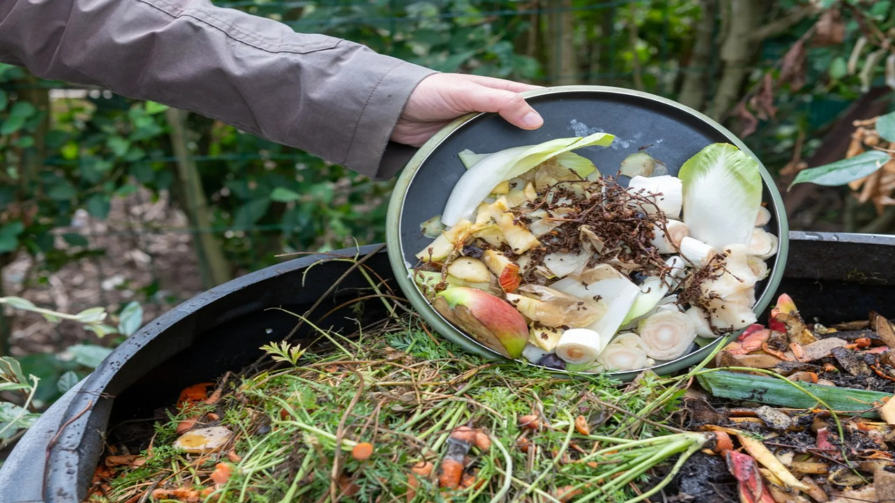 Composting Materials