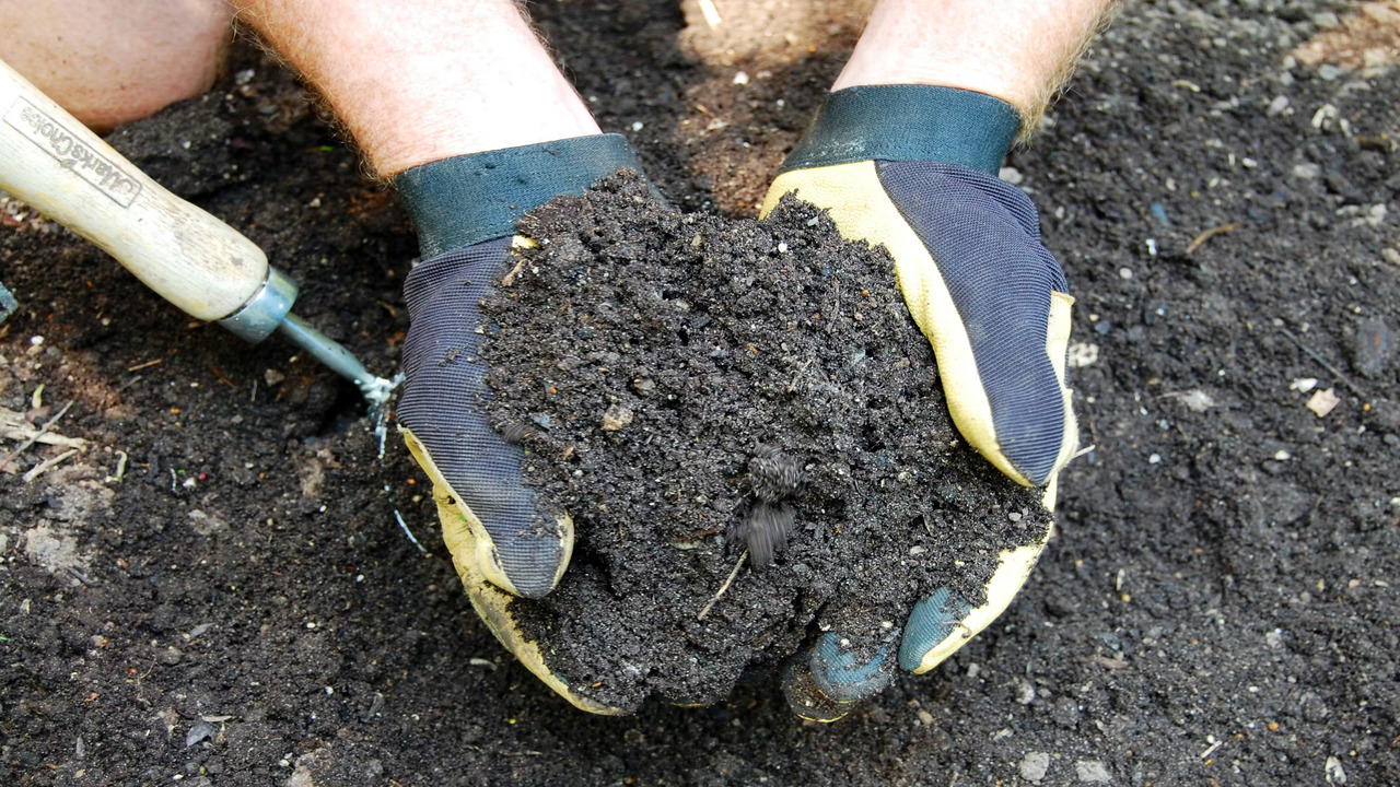Composting Offers Numerous Benefits