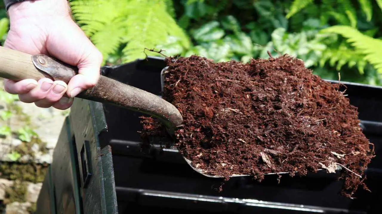 Composting Techniques For Planting