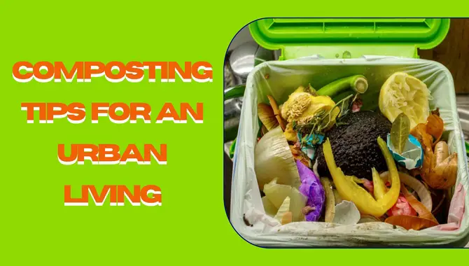Composting Tips For An Urban Living