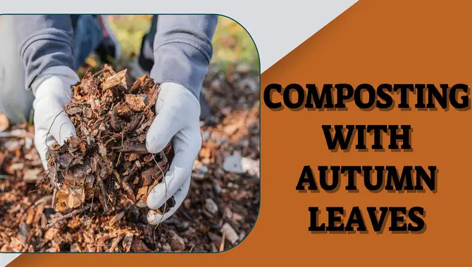 Composting With Autumn Leaves
