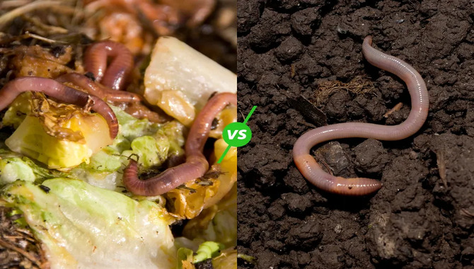 Composting With Earthworms In Urban Environments