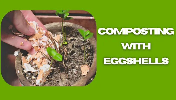 Composting With Eggshells