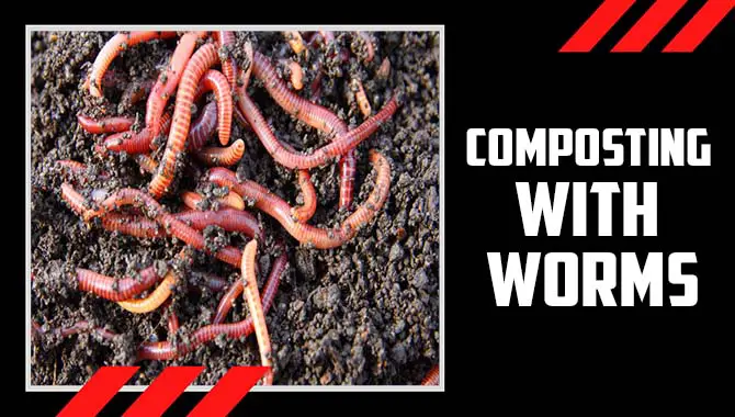  Composting With Worms