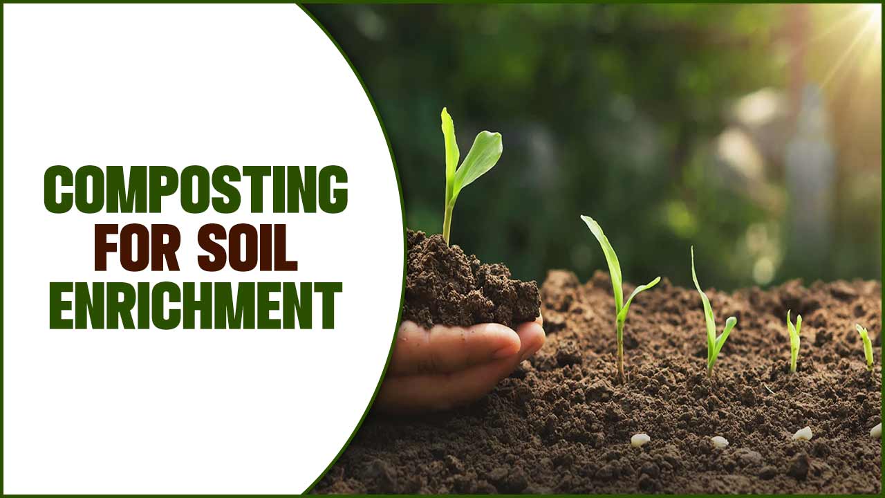 Composting For Soil Enrichment