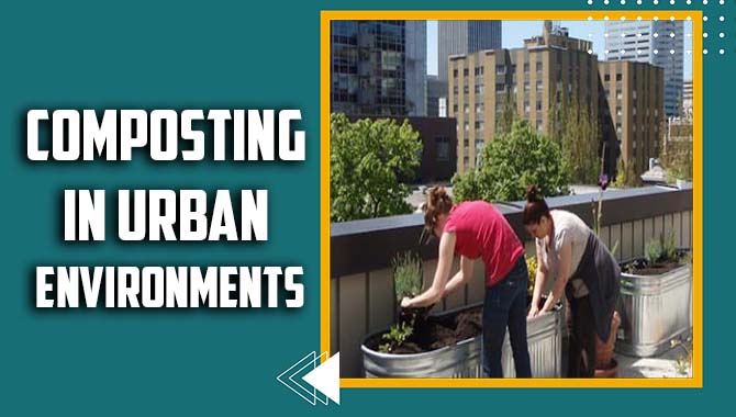 Composting In Urban Environments