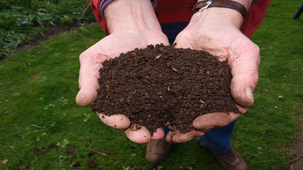 Composting At Home To Supplement Bulk Purchases