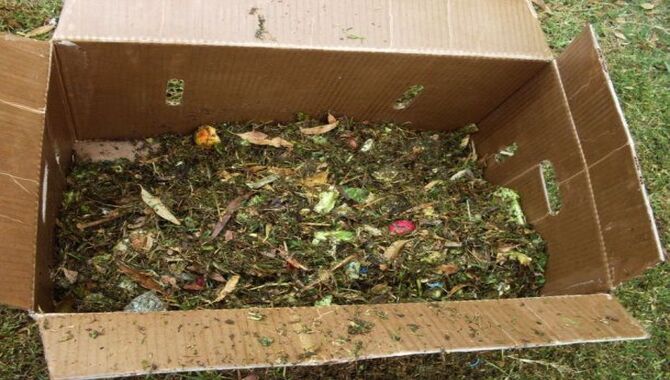 DIY Composting Projects With Cardboard