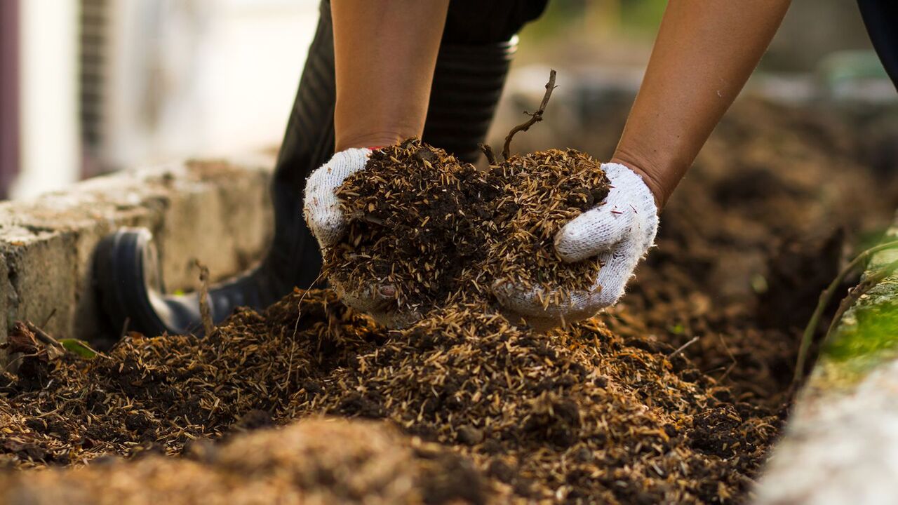 Detailed On Composting And The Role Of Compost Centre