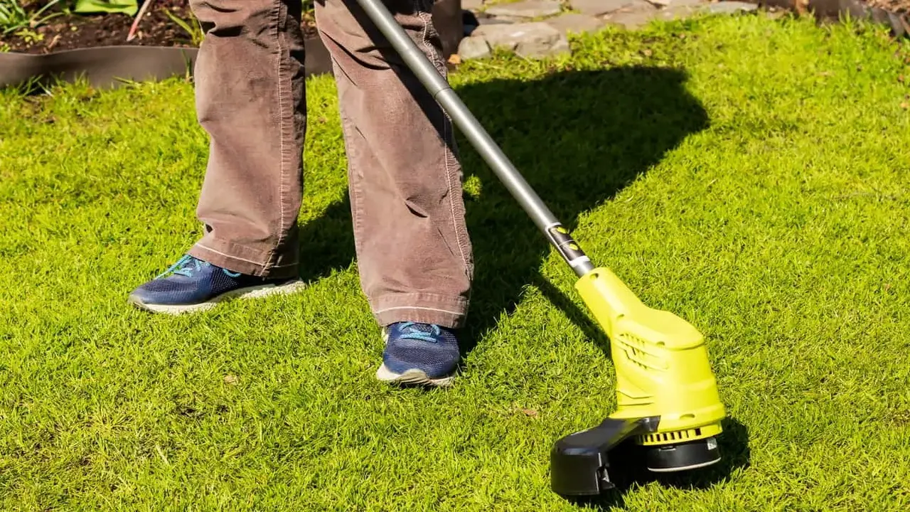 Dewalt 20v Weed Eater Stopped Working - 5 Easy Steps To Fix It