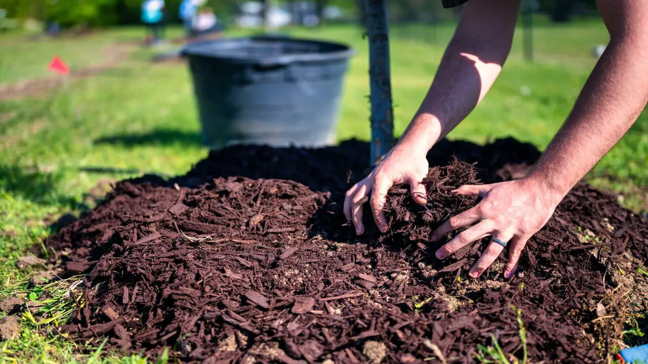 Different Types Of Composting