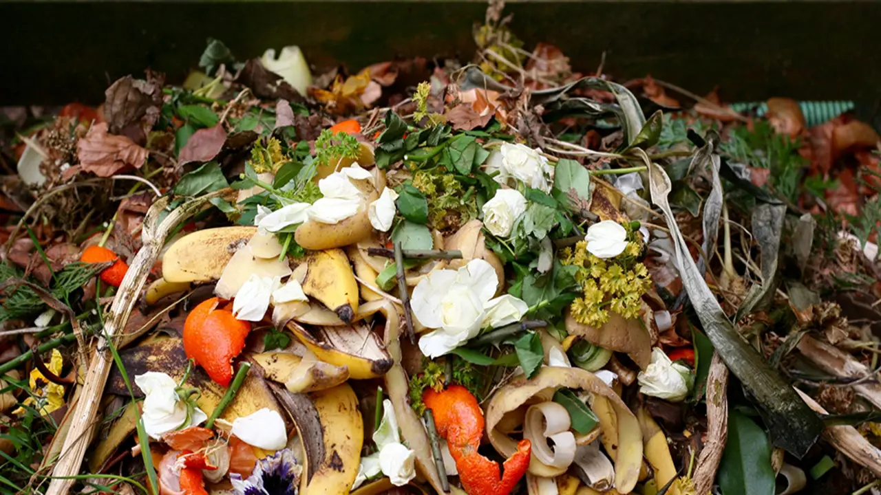 Diverting Organic Waste With Compost