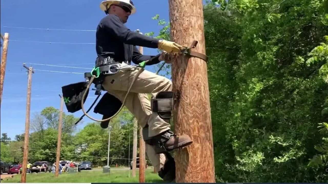 Do Tree Climbing Spikes Damage Trees