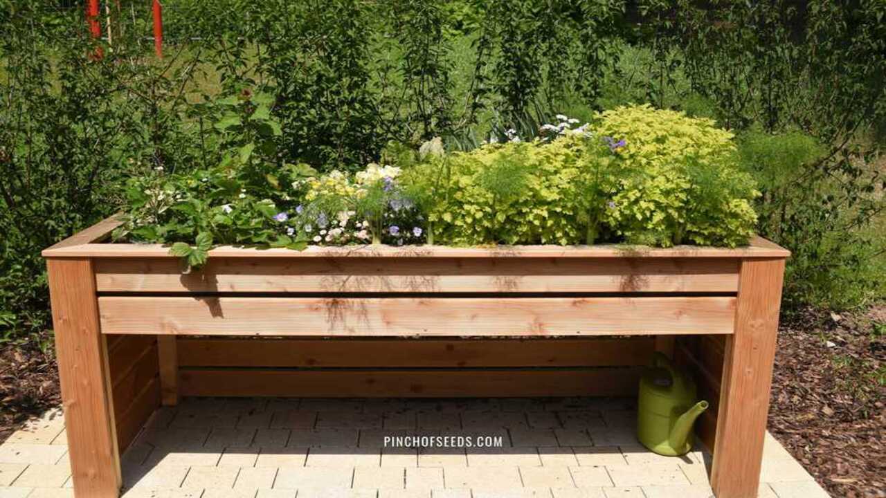 Elevate Your Garden Beds