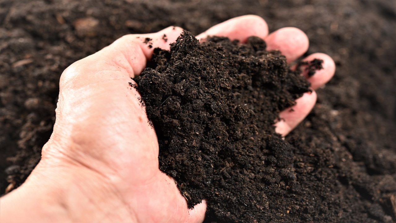 Enhances Soil Structure