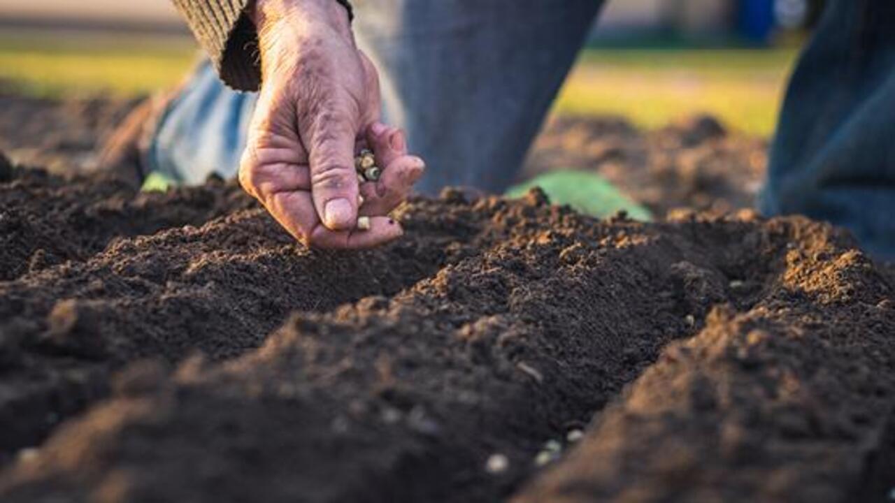 Enhancing Soil Health And Preventing Erosion
