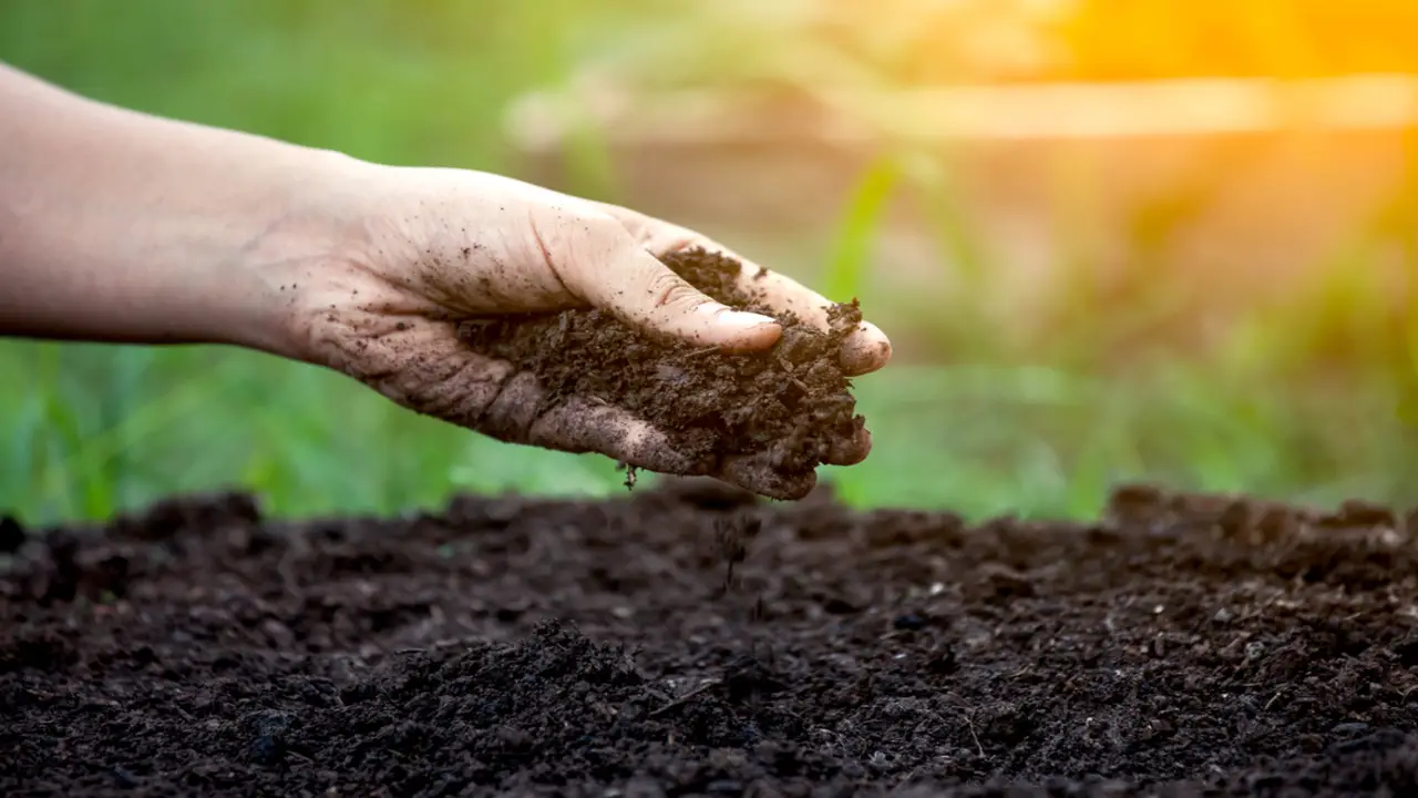 Enhancing Soil Health