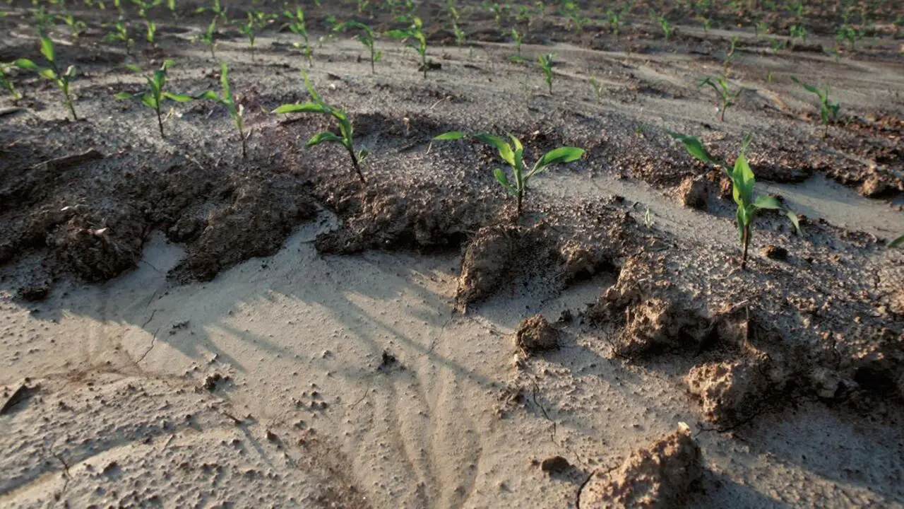 Enhancing Soil Structure And Preventing Erosion