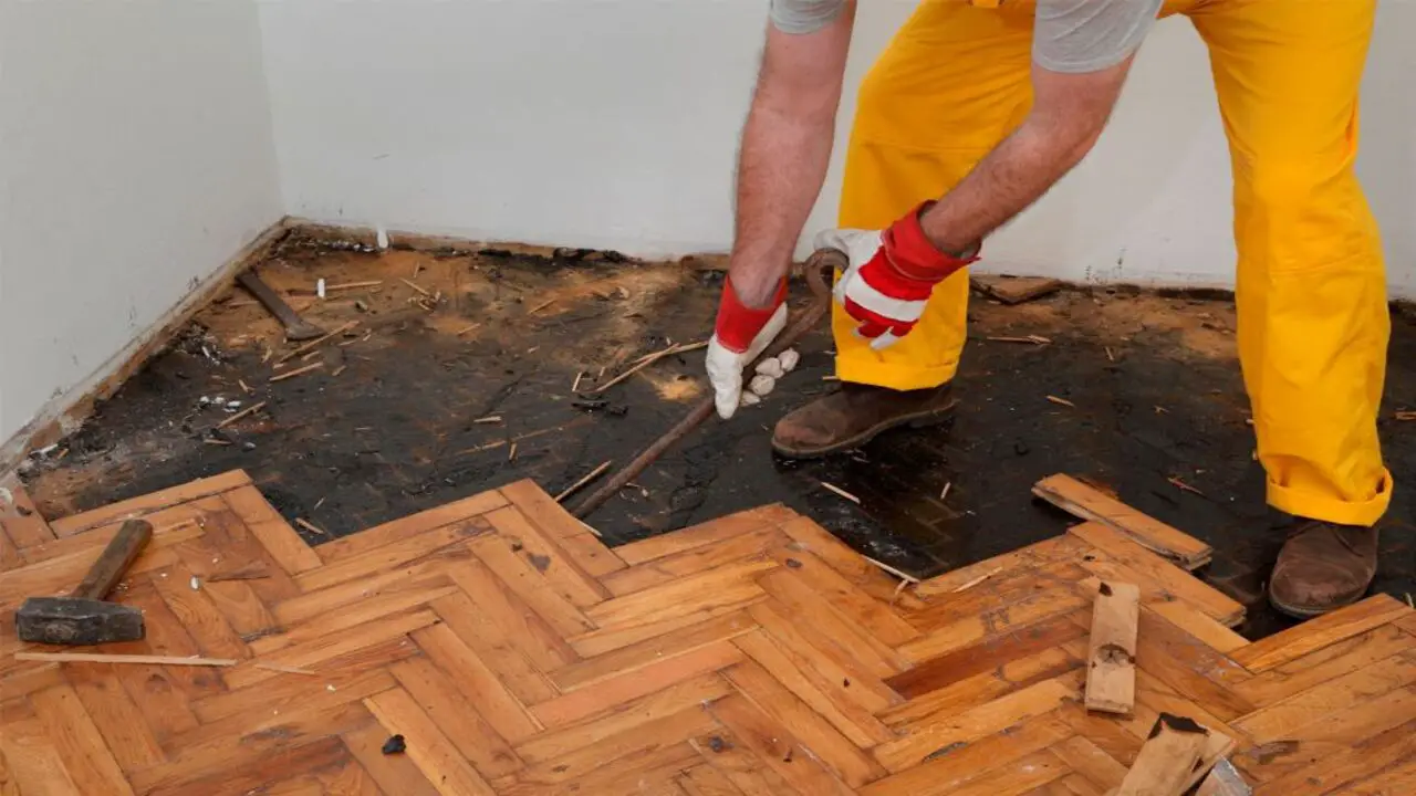 Essential Safety Precautions For Removing Subfloor Mold