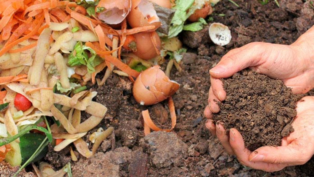 Essential Steps For Success In Composting Business