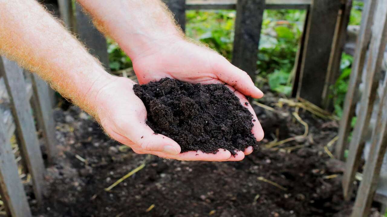 Establish Composting Guidelines