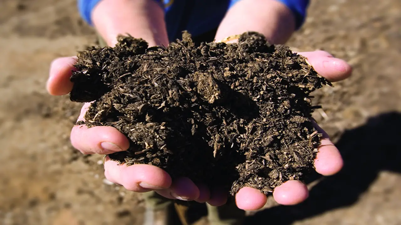 Evaluating Compost Quality And Standards