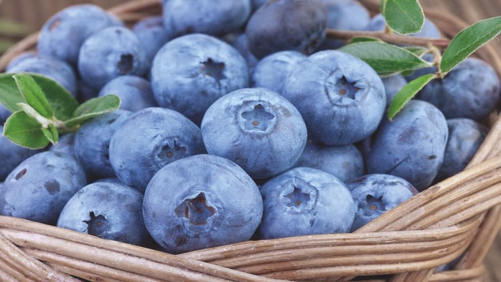 How To Make Blueberries Sweeter Expert Tips