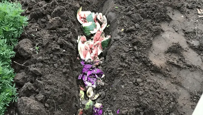 Explanation Of The Dirt On Composting In Raised Beds