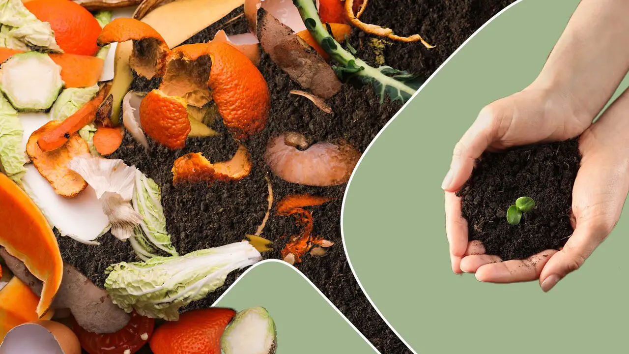 Exploring The Composting Benefits