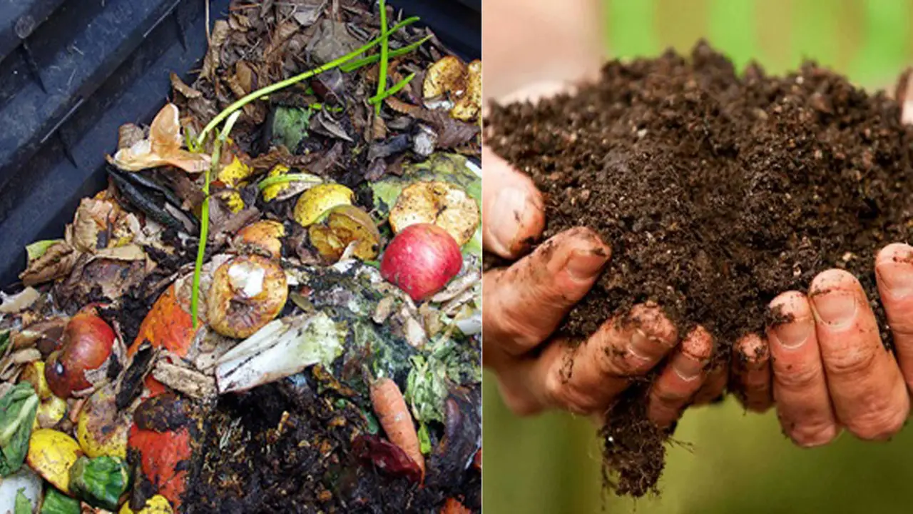 Exploring Why Composting Is Important