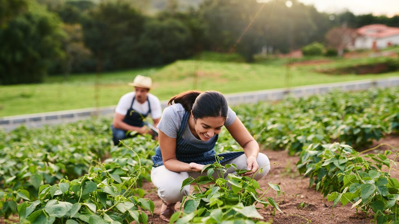 Financing Your Farm Or Garden Business