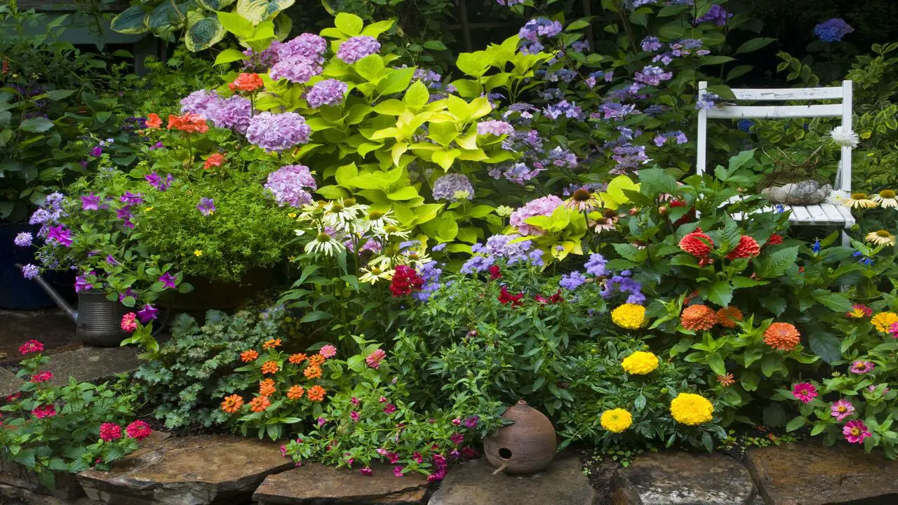Flower Beds And Ornamental Plants