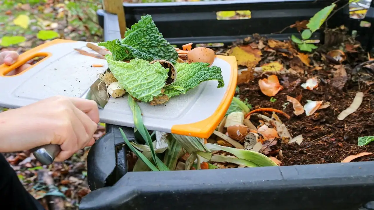 Gather Composting Materials