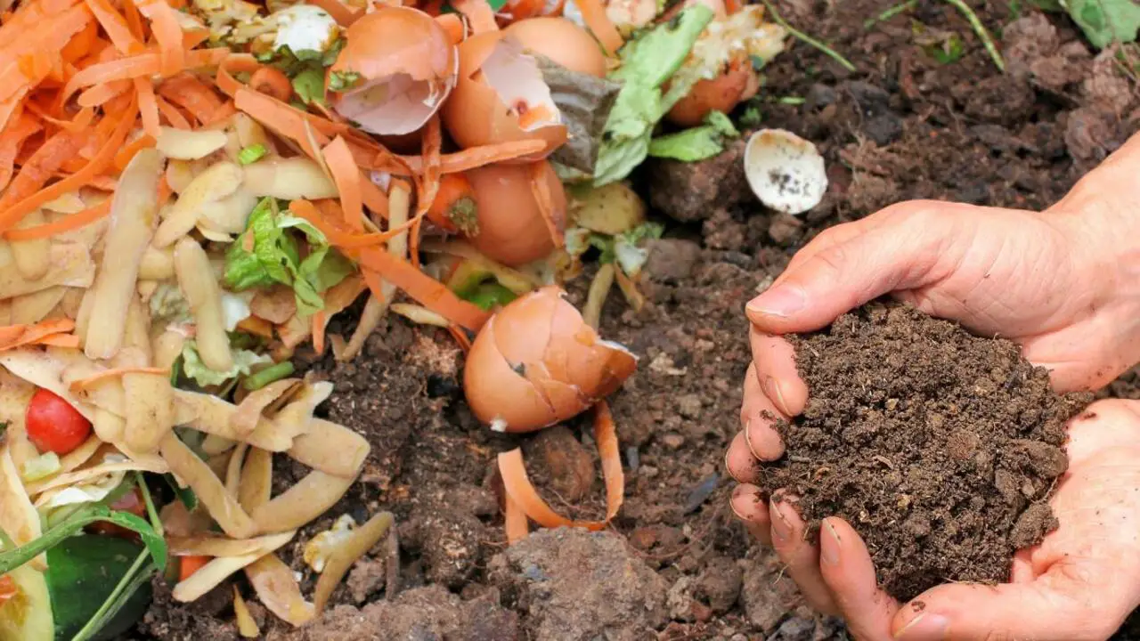 Gather Your Composting Materials