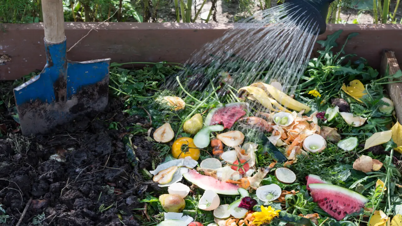 Gathering The Necessary Materials For Your Compost