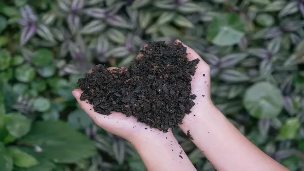 Get The Right Compost For Your Needs