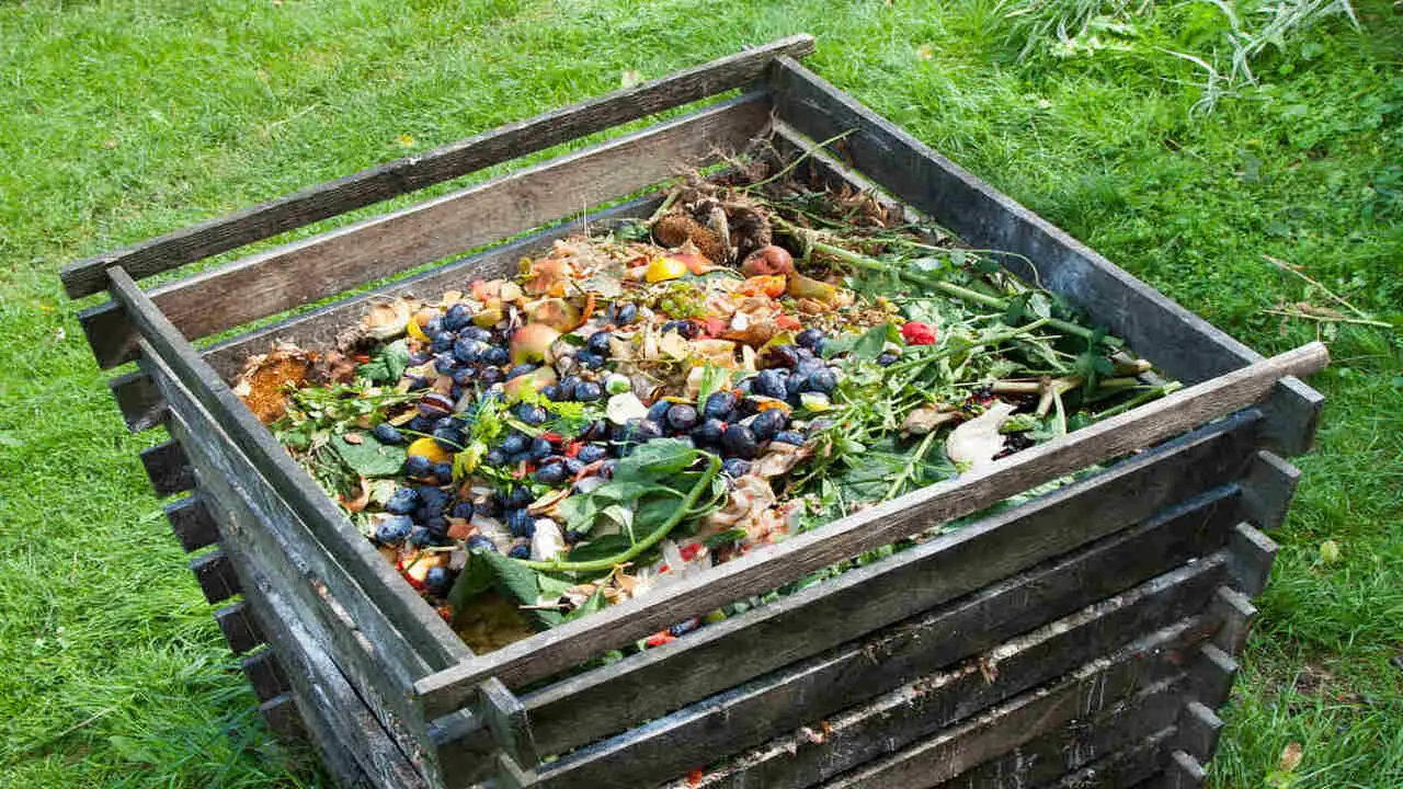 Getting Started With A Compost Bin