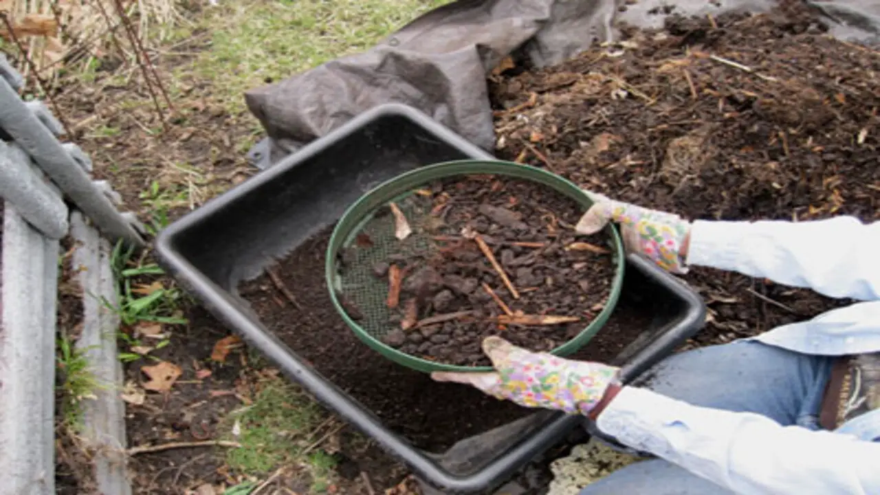 Harvest And Use The Compost