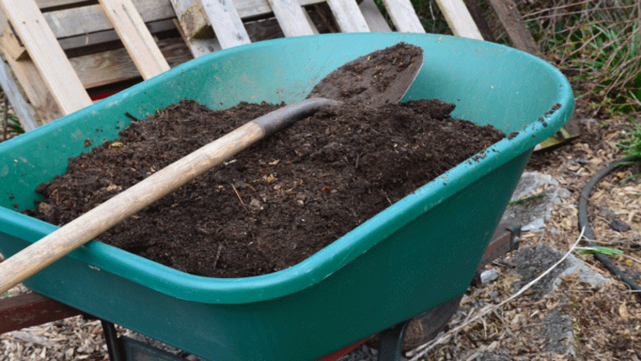 Harvesting And Using Compost