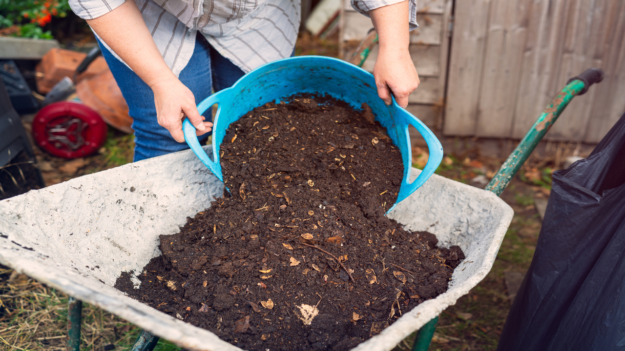 Harvesting And Using Compost