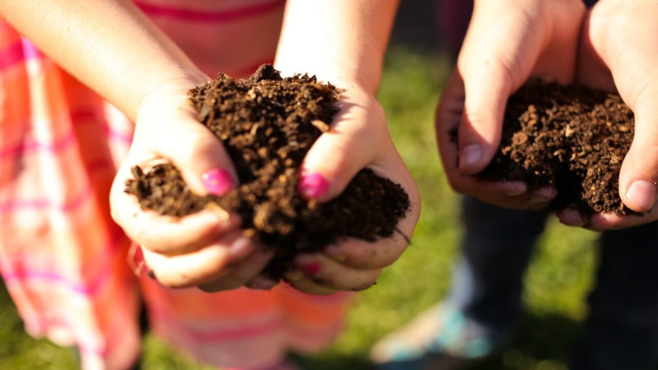 Harvesting And Using Composted Materials