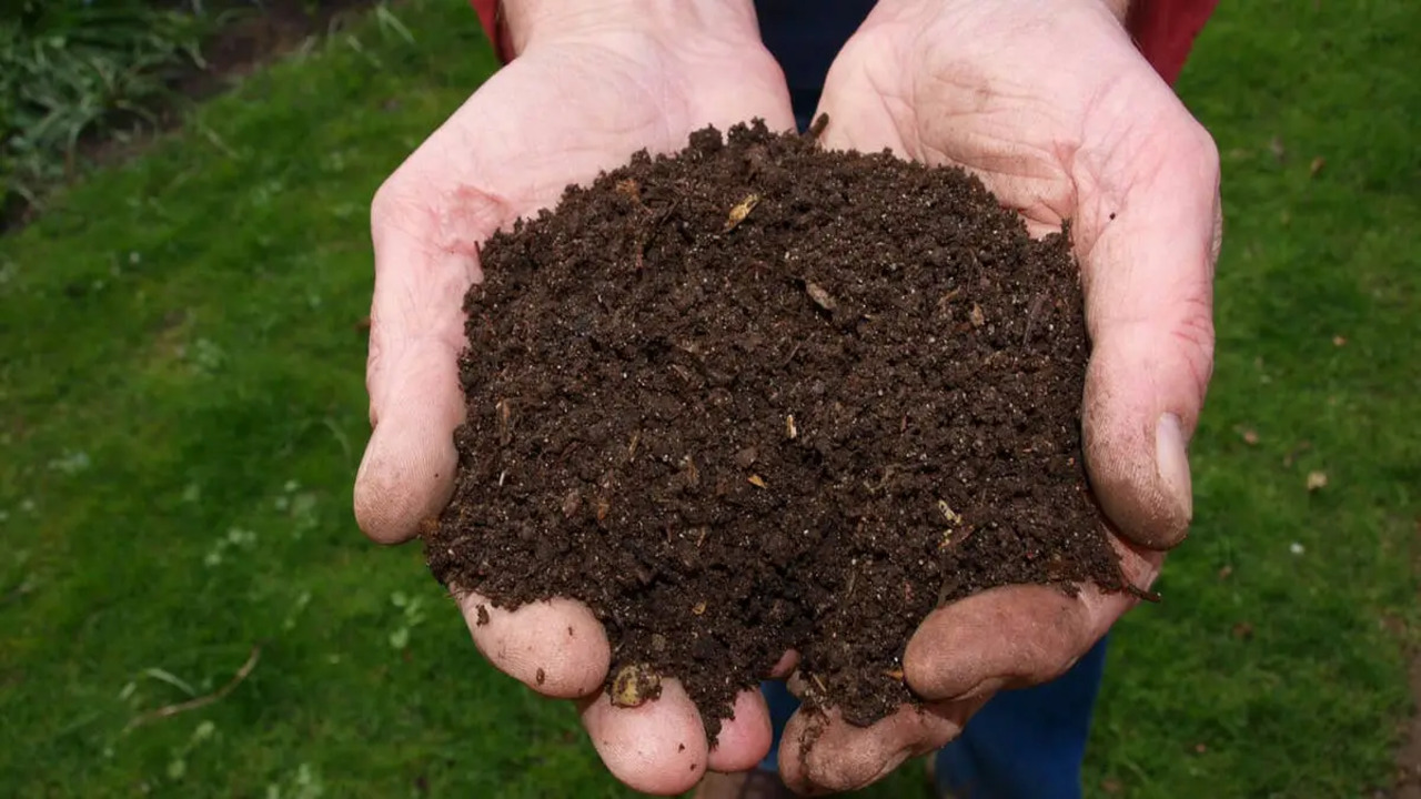 Harvesting And Using Finished Compost