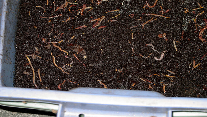 Harvesting And Using The Compost