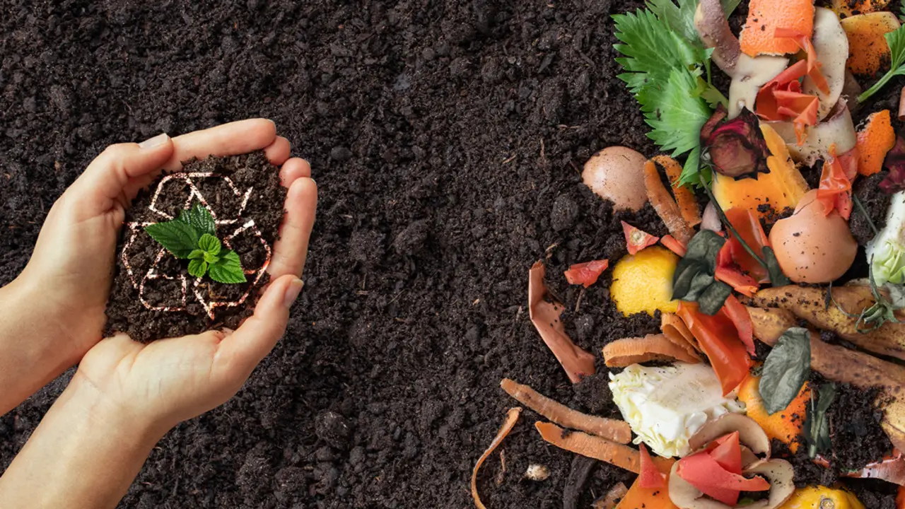 Health Benefits Of Composting