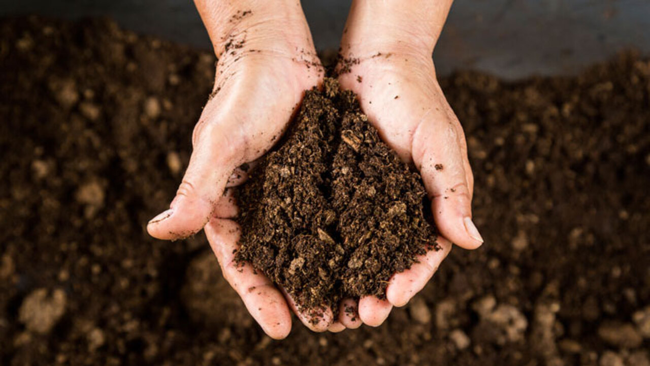 Healthy Soil