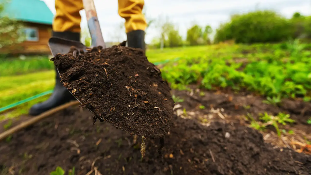 How Can I Use Topsoil In My Garden To Get The Most Out Of Its Benefits For Plants