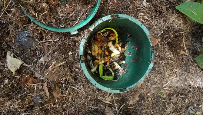 How Can We Use Indoor Composting Methods