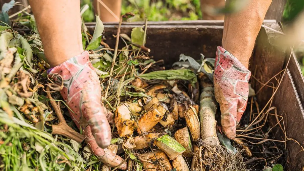 How Does Composting Help The Environment Safety Guide