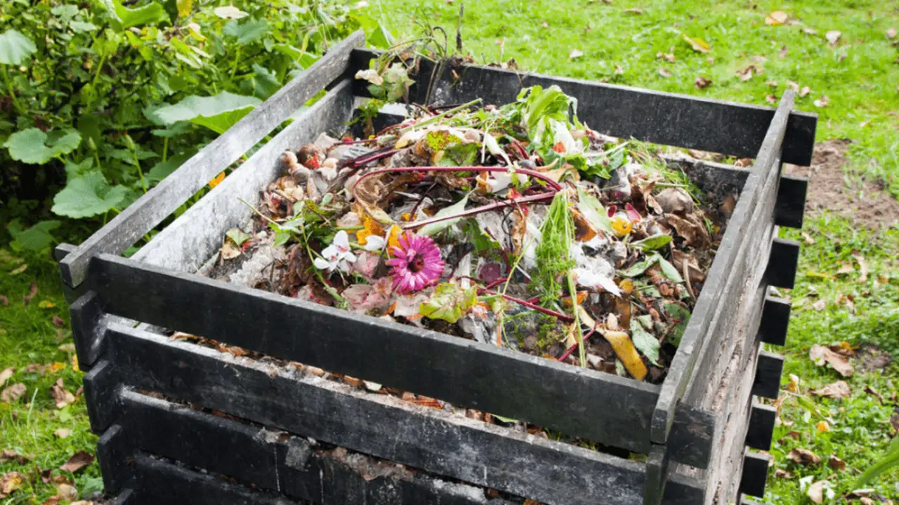 How Does Composting Work